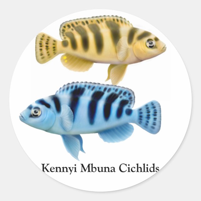 Adesivo Kennyi African Rift Lake Cichlids Sticker (Frente)