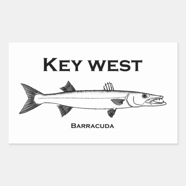 Adesivo Key West Barracuda (Frente)