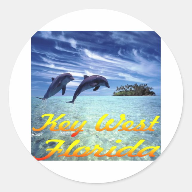 Adesivo Key West Florida Dolphins (Frente)