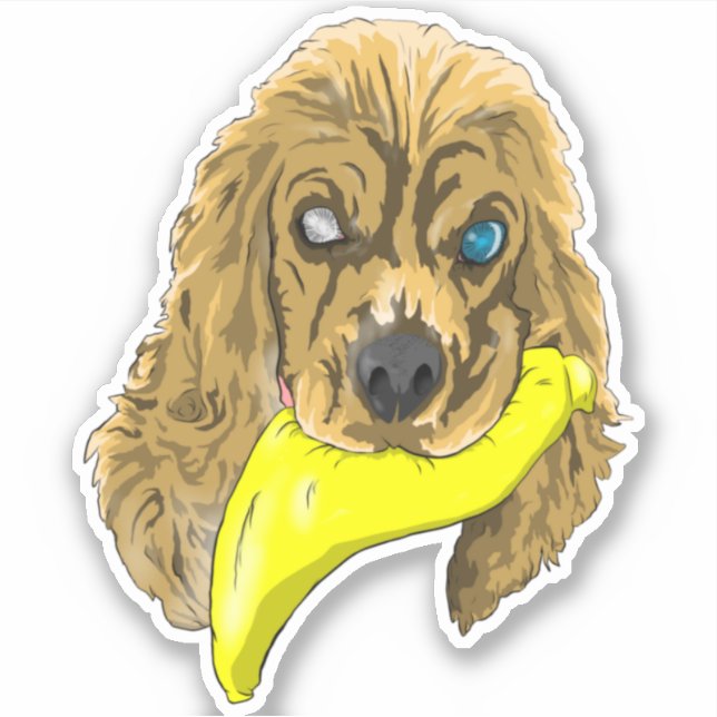 Adesivo Keys & Banana, o spaniel da miniatura (Frente)