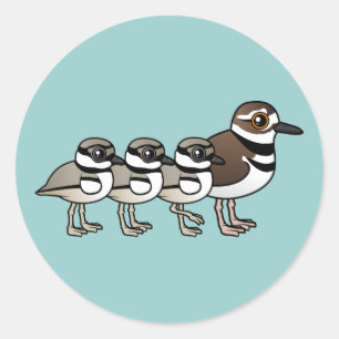 Adesivo Killdeer & três pintinhos