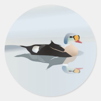 Adesivo King Eider Duck