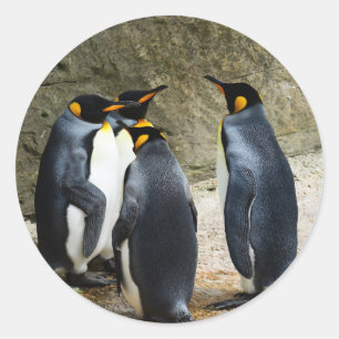 Adesivo King Penguin