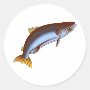 Adesivo King Salmon
