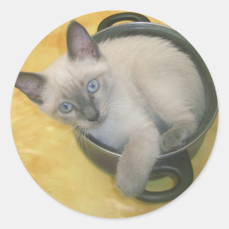 Adesivo Kitten Cacciatore