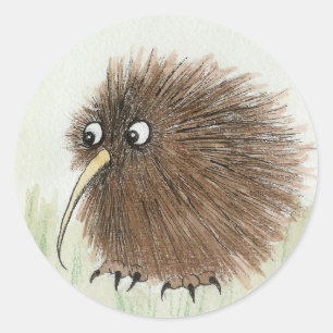 Adesivo Kiwi Bird