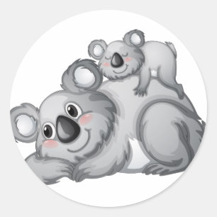 Adesivo Koala