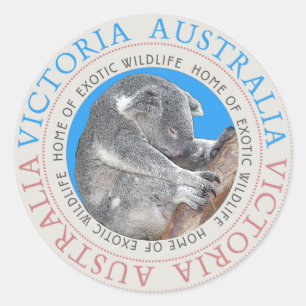 Adesivo Koala Bear Australia Sticker