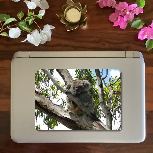 Adesivo Koala - Dormindo