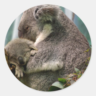 Adesivo Koala Mãe e Novo Bebê
