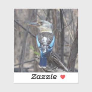 Adesivo Kookaburra Bird