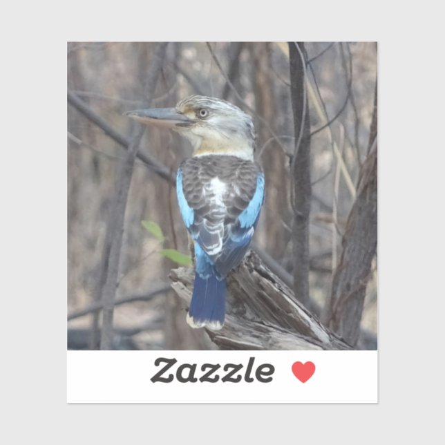 Adesivo Kookaburra Bird (Folha)