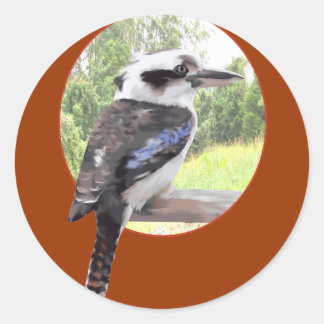 Adesivo Kookaburra em Círculo