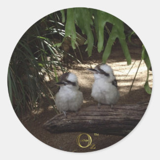 Adesivo Kookaburras Rindo