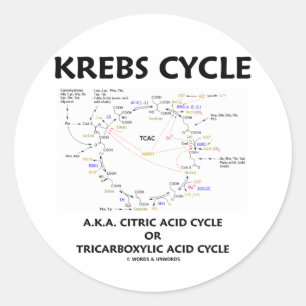 Adesivo Krebs Cycle A.K.A. Ciclo Ácido Cítrico Tricarboxíl