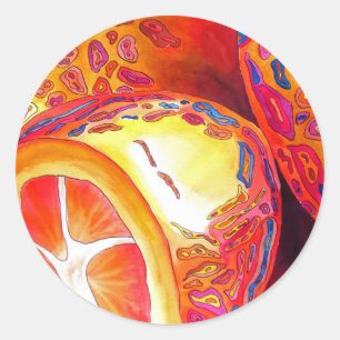 Adesivo Kumquats fruta dos citrinos laranja