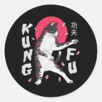 Kung Fu Cat