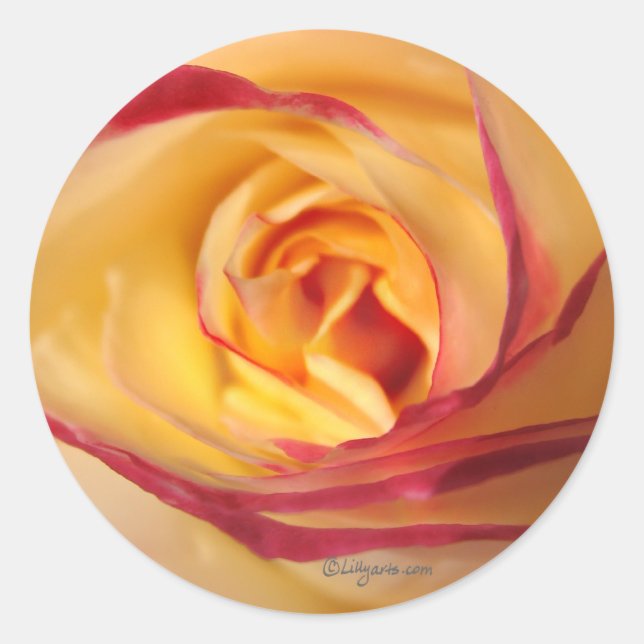 Adesivo Lábio Rosa de Envelope Sunshine Selo (Frente)