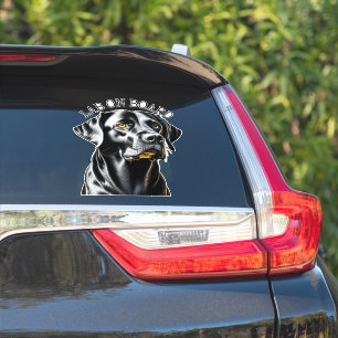 Adesivo Laboratório Preto   Laboratório no Conselho