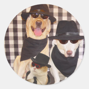 Adesivo Laboratórios dos azuis & gato legal