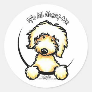Adesivo Labradoodle amarelo IAAM