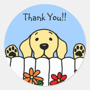 Adesivo Labrador Amarelo te observando