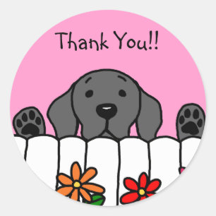 Adesivo Labrador preto que olha o