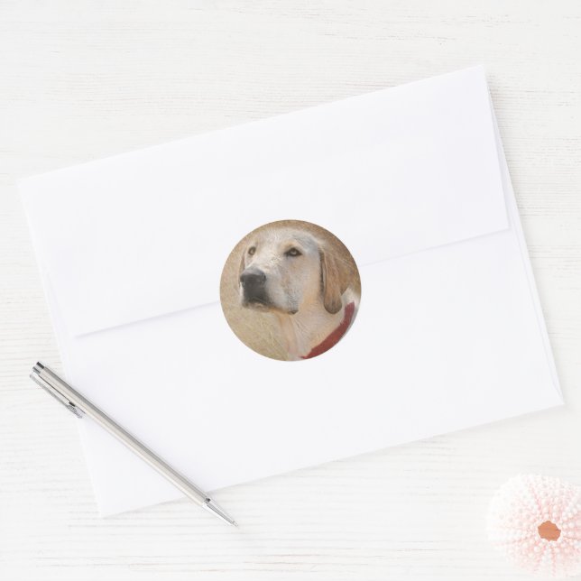 Adesivo Labrador Retriever amarelo (Envelope)