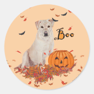Adesivo Labrador Retriever Amarelo Boo!