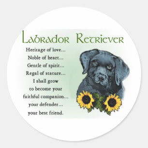 Adesivo Labrador Retriever Gifts