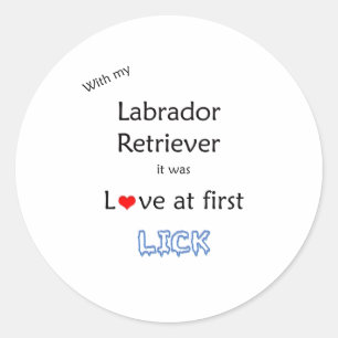 Adesivo Labrador Retriever Lick Design