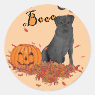 Adesivo Labrador Retriever Preto Boo!