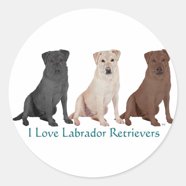 Adesivo Labrador Retrievers - 3 cores para amar (Frente)