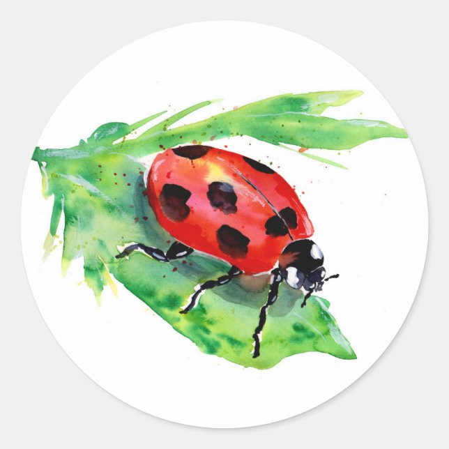 Adesivo Lady Bug em uma Aquarela Verde Folha (Frente)