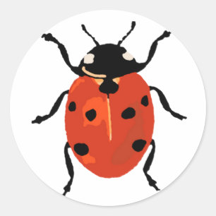 Adesivo Ladybird Small Sticker