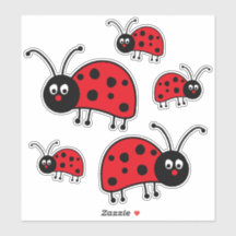 Ladybug