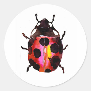 Adesivo Ladybug