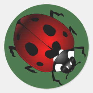 Adesivo Ladybug Stickers Red Ladybugs Art Stickers