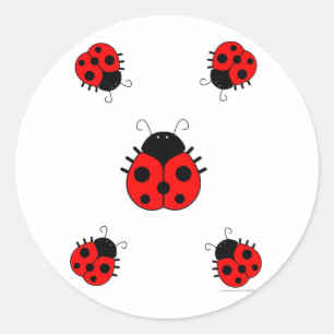 Adesivo Ladybugs Sticker