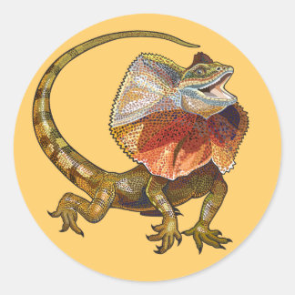 Adesivo lagarto-de-coleira