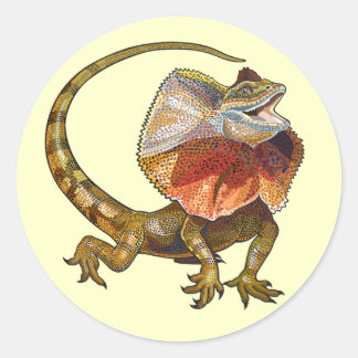 Adesivo lagarto-de-pescoço-frade
