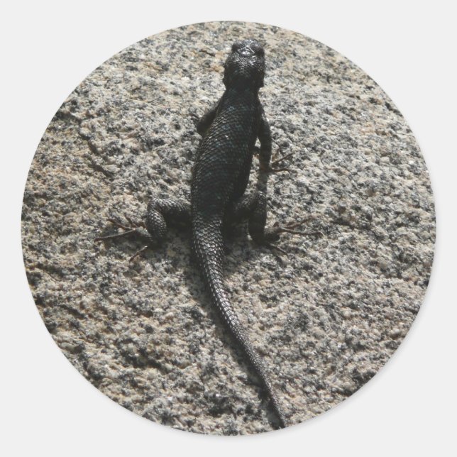 Adesivo Lagarto Preto (Frente)