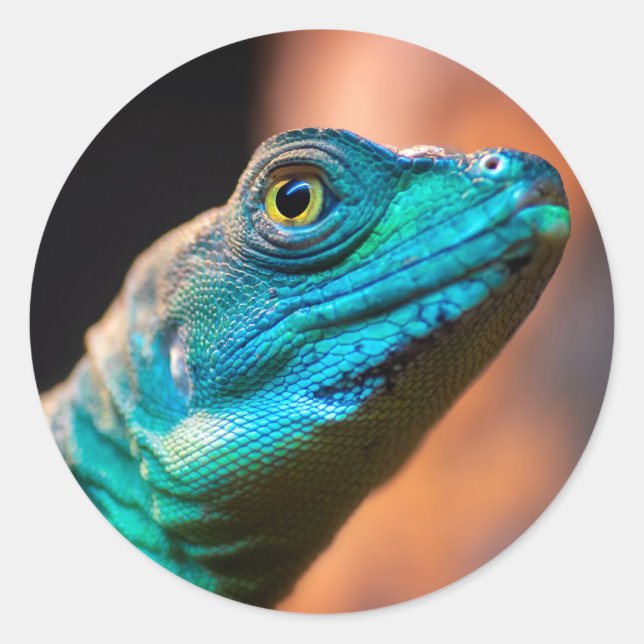 Adesivo Lagarto verde (Frente)