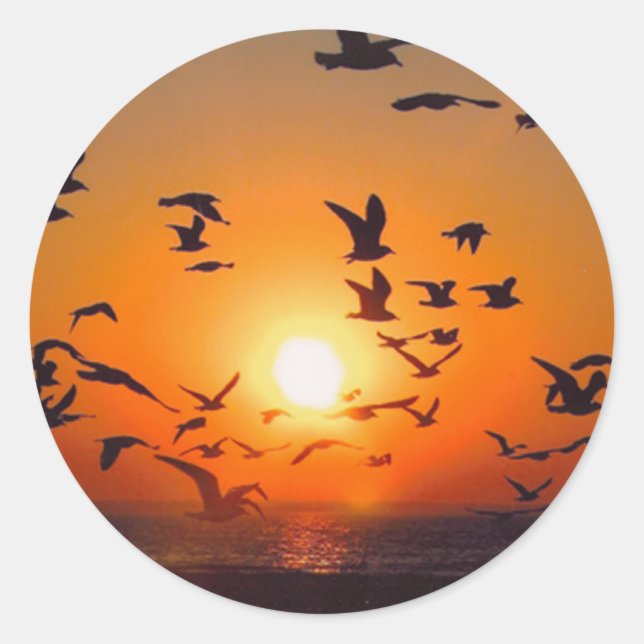 Adesivo Lago Erie Sunset (Frente)