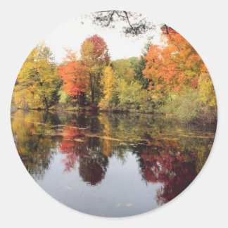 Adesivo Lago Fall