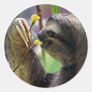 Adesivo Lama de Árvore de Três Dentes