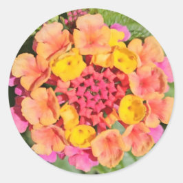 Adesivo Lantana Flower