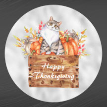 Laranja de Ação de Graças Pumpkins Cat Floral