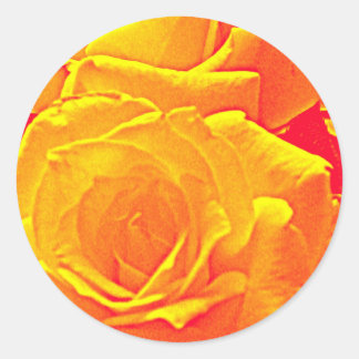 Adesivo laranja rosa fluorescente