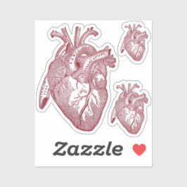 Adesivo Large Labelled Vintage Anatomical Heart, Red
